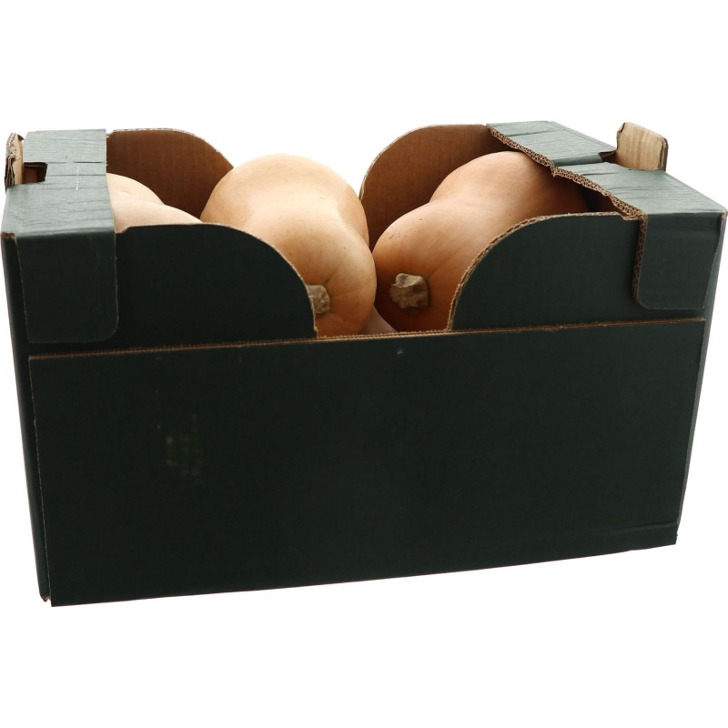 BIO COURGE BUTTERNUT 10KG
